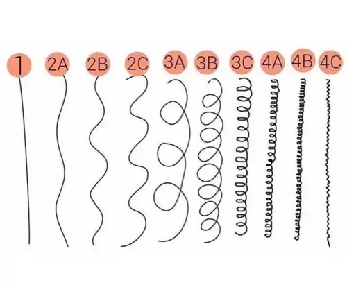 12 Different Hair Types: Identifying and Styling Yours 2 Curl Pattern Chart