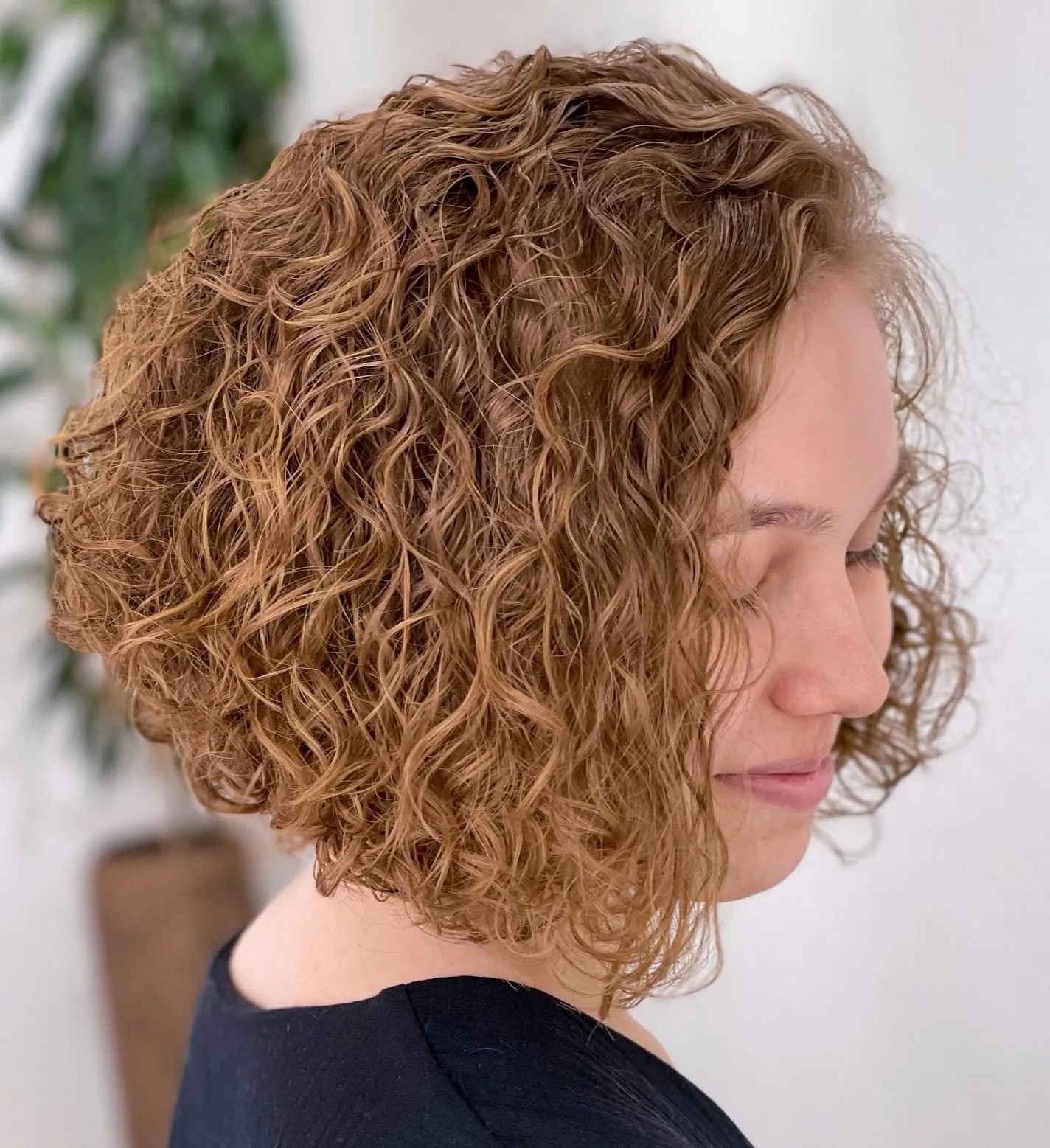Curly Concave Hairstyle