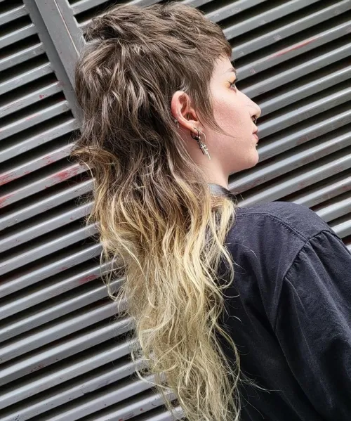 Edgy Long Hairstyle with Pixie Crown and Long Layers in the Back