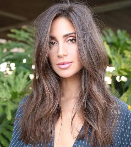 Long Layered Brunette Hairstyle
