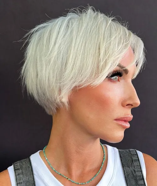 White Blonde Pixie Bob aka Bixie
