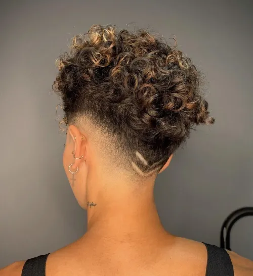 Short Culy Hair with Low Fade and Highlights