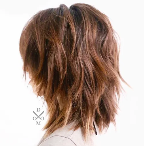 Medium Shaggy Layered Hairstyle For Thick Frizzy Hair