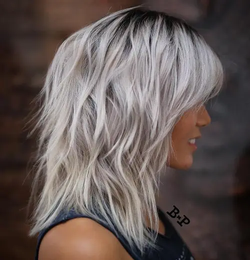 60 Essential Shag Hairstyles for Every Hair Type and Length 12 Silver Shag With Black Roots