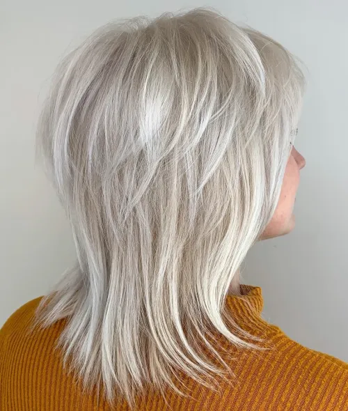 60 Essential Shag Hairstyles for Every Hair Type and Length 45 Silver Feathered Shag For Fine Hair